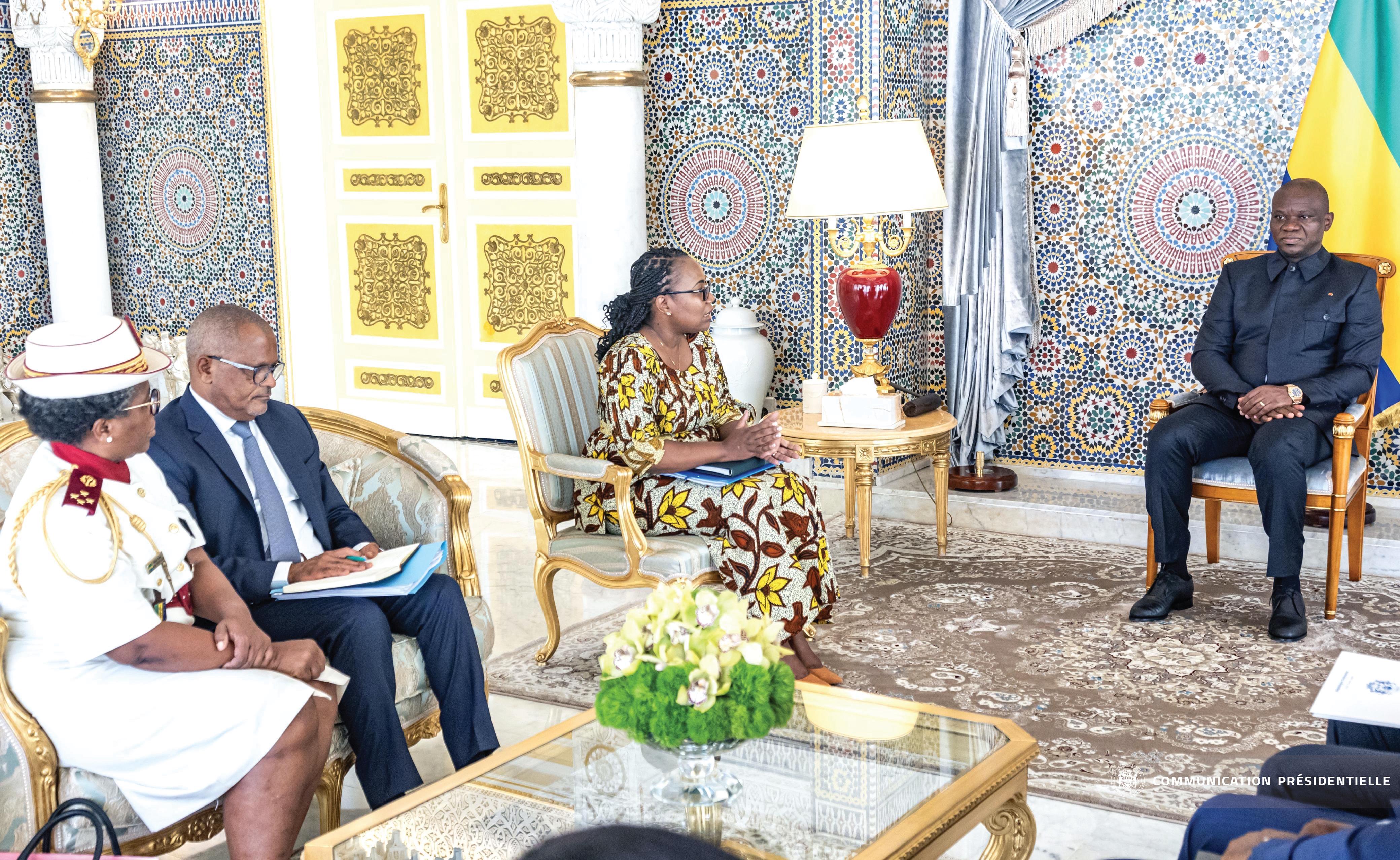 Le Président de la République reçoit le Directeur Général de la CNAMGS