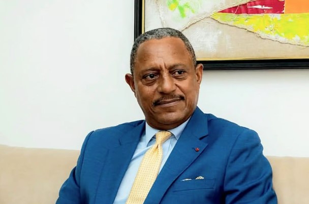 Ogowé Siffon en prison : avocats alertent sur des irrégularités