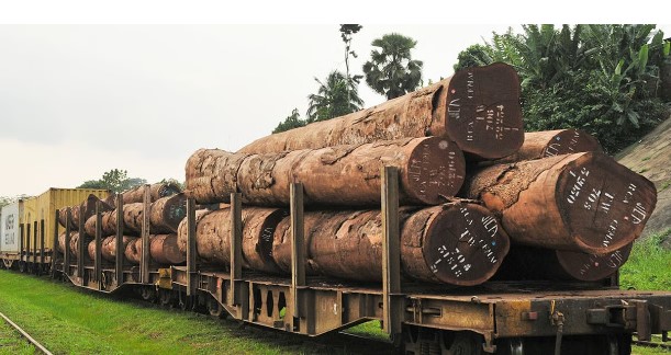 Accord tarifaire entre l’UFIGA et la SETRAG: un pas en avant pour la filière bois